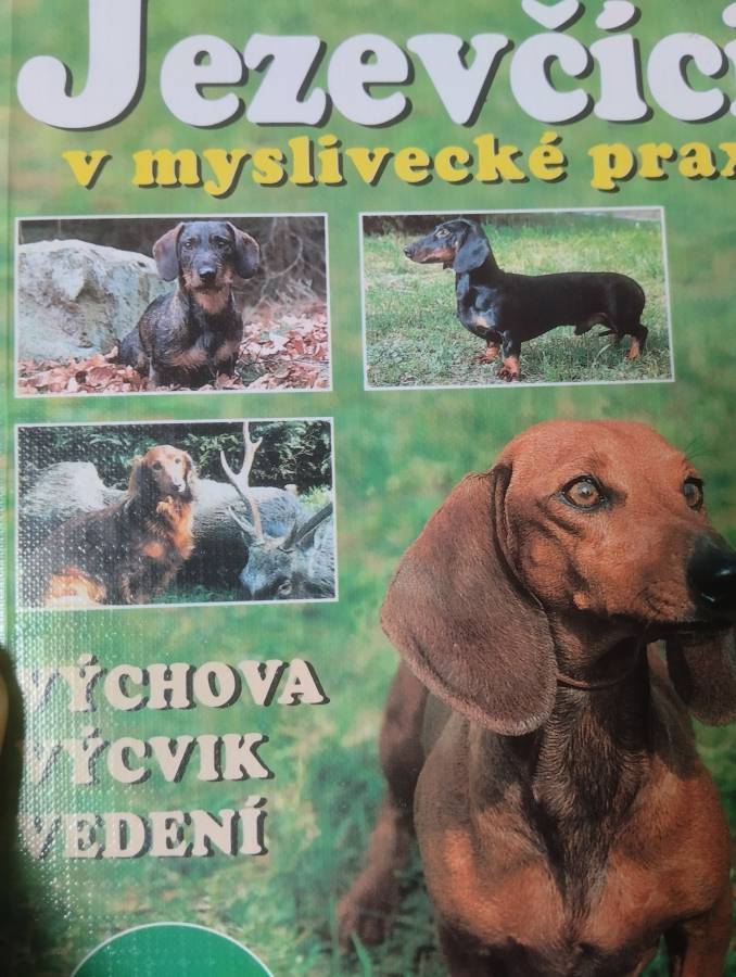 Jezevčíci v myslivecké praxi: výchova, příprava, vedení