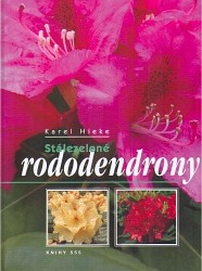 Stálezelené rododendrony