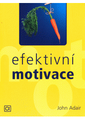 Efektivní motivace